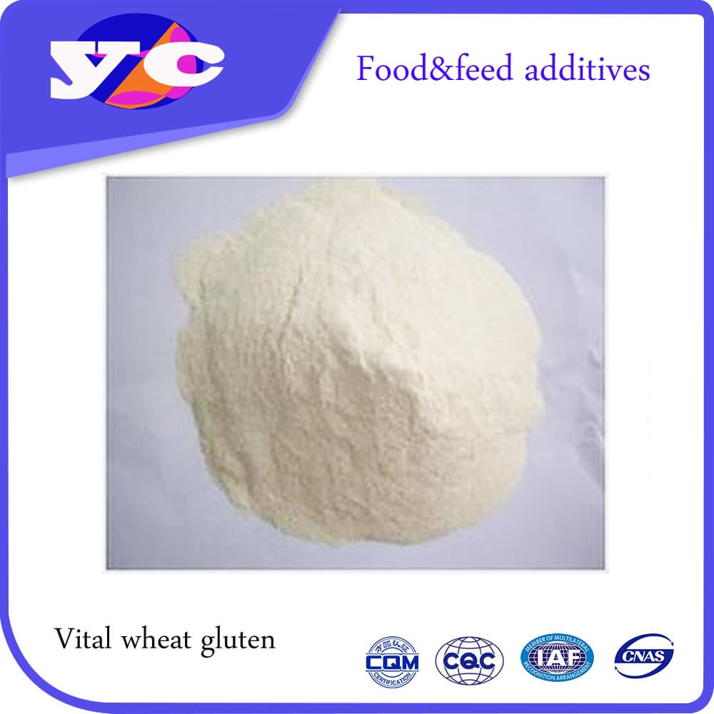 Food Grade Winter Wheat VItal Wheat GLuten EU Standard